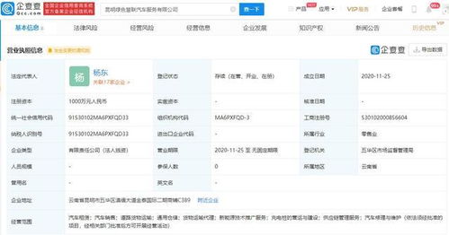 吉利新成立8家公司，技術推廣服務成核心戰略