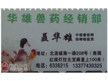 耕耘現代化 廣西北流市農機化技術推廣服務站的創新實踐